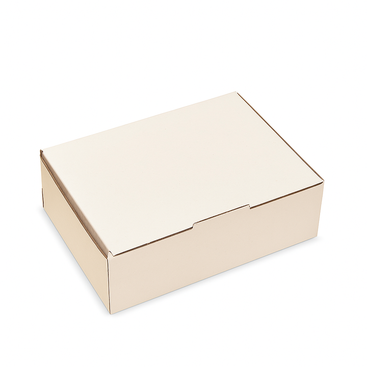 BXP2 A4 Aust Post Mailer Box 4785 White