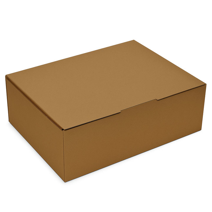 BXP4 Aust Post Large Mailer Box 4787