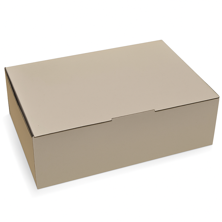 BXP4 Aust Post Large Mailer Box 4787 - White